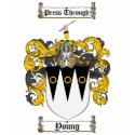 Scottish Young Coat of Arms Stein - Family Crest t-shirts