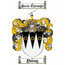Scottish Young Coat of Arms Stein - Family Crest t-shirts