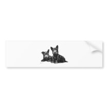 SCOTTY DOGS CHECK AND RECHECK BUMPER STICKERS