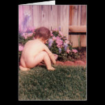 Scotty's Garden cards