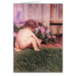 Scotty's Garden Greeting Card