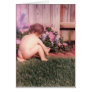 Scotty's Garden Greeting Card