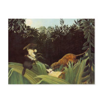 Scout Attacked By A Tiger Post Card