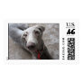 Scout Dowhower Stamps