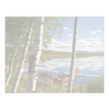 Scout on Kanuti Lake Personalized Announcement