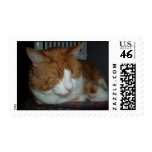 Scout postage