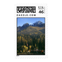 Scout Salute Postage Stamps