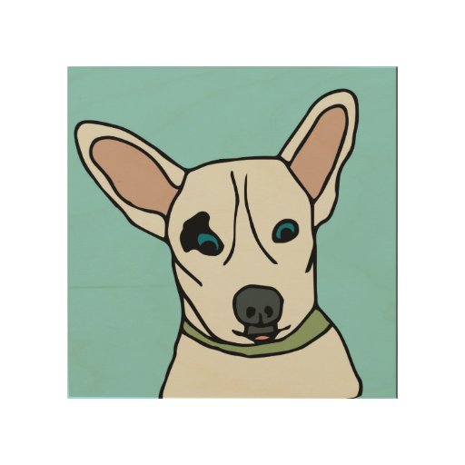 Birch Wood Dog Rescue Birch Wood Dog Rescue