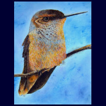 Scoutin' Bird T Shirt by artbyjolyn Scoutin' Bird T Shirt