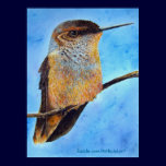 Scoutin' Fine Art Print