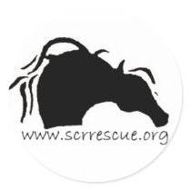 SCR logo sticker by SecondChanceRanch SCR logo sticker