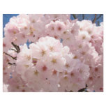 Scrapbook paper Pastel Pink Flower Tree Blossoms Letterhead Design