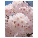 Scrapbook paper Pink Spring Tree Blossoms paper Personalized Letterhead