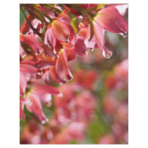 Scrapbooking page Pink paper Dogwood Flowers Letterhead Template
