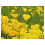 Scrapbooking Paper California Orange Poppy Flowers Customized Letterhead