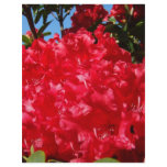 Scrapbooking paper Red Rhodies Summer Custom Letterhead