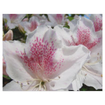 Scrapbooking paper White Pin Azalea Flowers Customized Letterhead