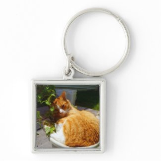 Scrapper in a pot keychain