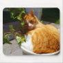 Scrapper in a pot mousepads