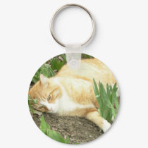 Scrapper in the garden keychains
