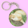 Scrapper in the garden keychains