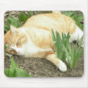 Scrapper in the garden mousepad