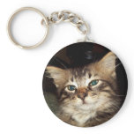Scrapper Kitten Keychain