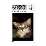 Scrapper Kitten Postage