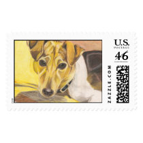 scrappy Jack Russel postage by pencilpetportraits scrappy Jack Russel postage