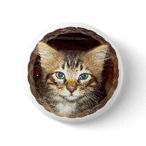 Scrappy Kitten buttons by BambiW Scrappy Kitten buttons