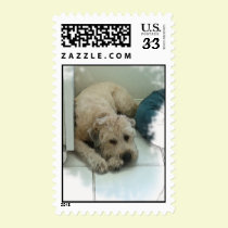 Scraps postage
