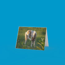 Scratch an Itch Next Little Play Day cards