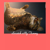 "Scratch My Tummy" t-shirts