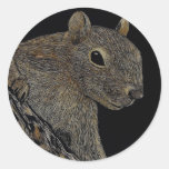Scratchboard Art Squirrel Stickers