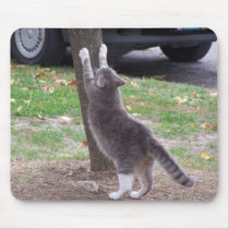 Scratchin" Post Tree, Mousepad by SusanParsons Scratchin" Post Tree, Mousepad