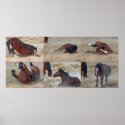 Scratching Mustang Montage posters