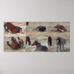 Scratching Mustang Montage posters