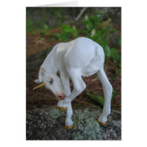 Scratching Unicorn Foal Greeting Card