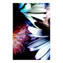 Scratchy Flowers posters