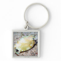 Scrawled Cowfish Key Chains