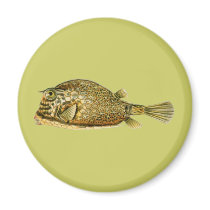 Scrawled Cowfish magnets