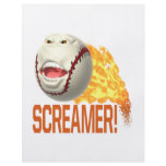 Screamer flyers