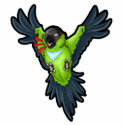 Screamin' Nanday Sculpture Keychain photo sculptures