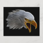 Screaming American Bald Eagle Head Flyer Design