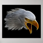 Screaming American Bald Eagle Head Poster