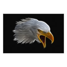 Screaming American Bald Eagle Head Customized Stationery