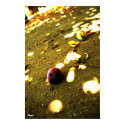 Screaming Berry posters