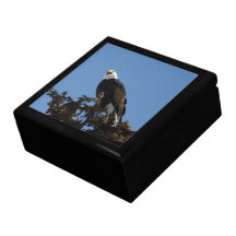 Screaming Eagle Keepsake Box