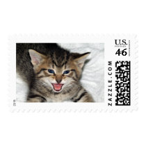 Screaming Kitty Stamps