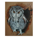 Screech Owl Art Poster posters by ArtistNikki Screech Owl Art Poster posters